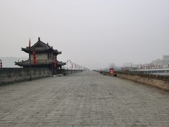 -马文章胖子甑糕(洒金桥店)