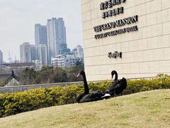 -行者书屋大堂吧 ·下午茶(南京圣和府邸酒店)