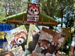 -水上乐园·欢乐世界