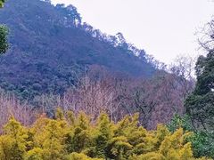 -黔灵山公园
