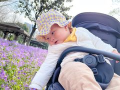 -白塘生态植物园