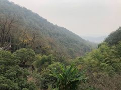 -韬光茶庵
