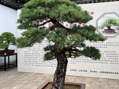 -上海方塔园