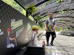 -圣淘沙天际线斜坡滑车