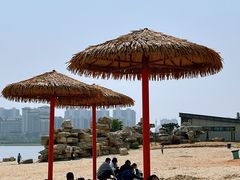 -九龙湖公园