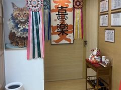 -猫十亿·布偶金渐层·曼基康矮脚猫舍(青年路店)