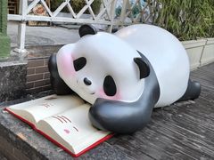 -轩客会(熊猫书店)