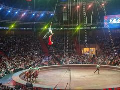 -俄罗斯国家大马戏团