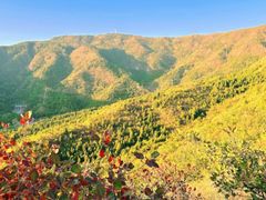 -北京十三陵国家森林公园蟒山景区