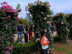 -庾园