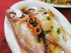 -蛇口康乐快餐鱼仔档(翠苑小区店)
