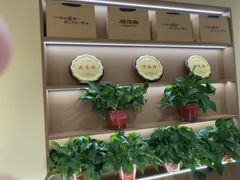 -桂花香手工面(鼓楼店)