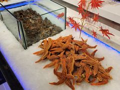 -圣罗巴甄选自助(麦凯乐店)