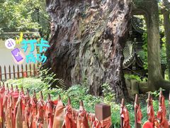-台州府城(江南长城)