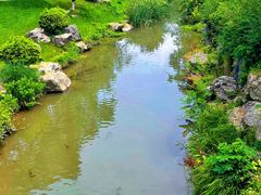 -羊山湖公园