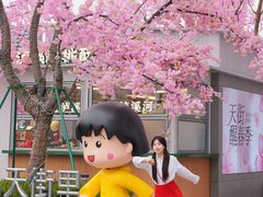 -首开·龙湖成都西宸天街