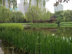 -木塔寺遗址生态公园