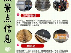 -日照灯塔风景区