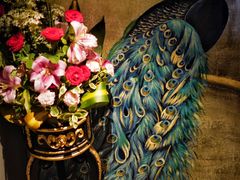 -弦月窗LUNETTE BY AMANDA(复兴路店)