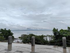 -深圳湾公园(南山区)