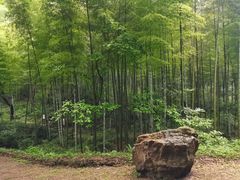 -黄公望隐居地