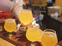-玩啤国度精酿啤酒(宝山店)