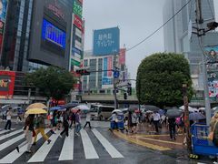 -涩谷全向十字路口