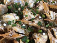 -章记正宗南岗鱼蛋火锅