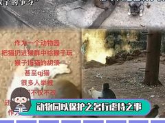 -昆明动物园