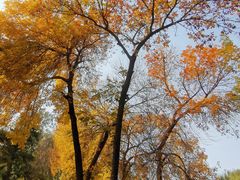 -元大都城垣遗址公园