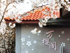 -高东镇樱花园