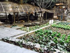 -天怡·鱼工厂(梅溪湖店)