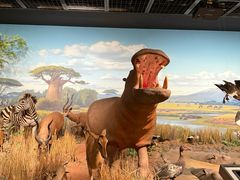 -陕西自然博物馆