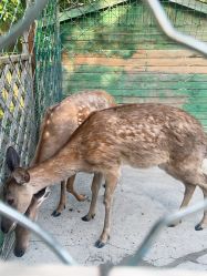 -萌宠亲子动物乐园(槐房万达店)