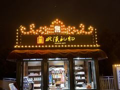 -武汉知音号