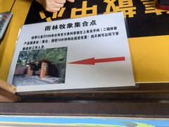 -野象谷景区