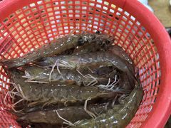 -濠轩阁特色生蚝火锅(水湾路店)
