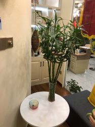 点击看大图 -芳朵美容养生SPA