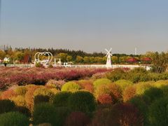 -嘉北郊野公园