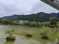 -沣峪口