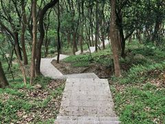 -汤山公园