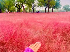 -汉长安城未央宫国家考古遗址公园