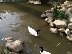 -临沂动植物园