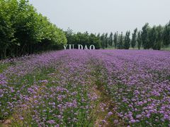 -渔岛海洋度假区