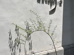 -鹤菊·鮨Omakase(古子城店)