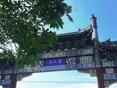 -菩提树下茶咖鼓捣