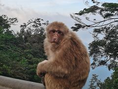 -峨眉山风景名胜区
