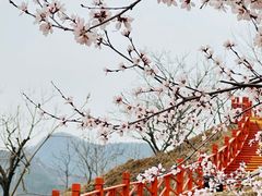-什刹海