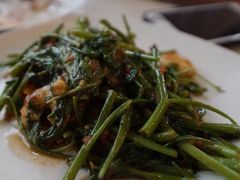 -大树下海鲜饭店