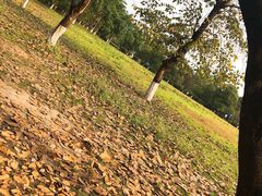 -成都南湖公园